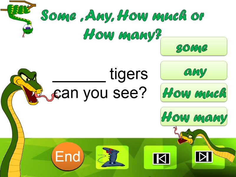 ______ tigers can you see? some any How much How many Some , Any,